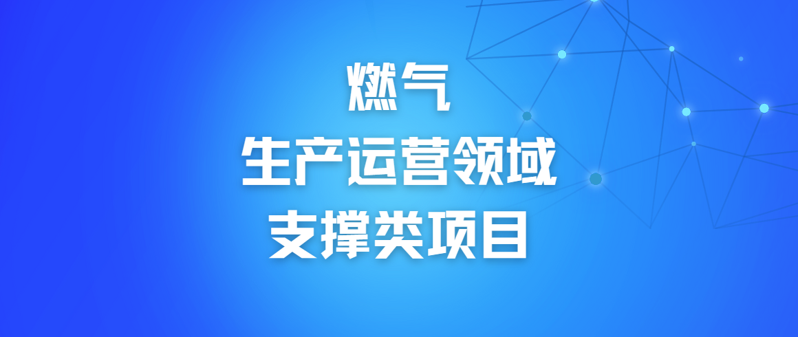 不同城燃企业信息化需制定的目标与计划