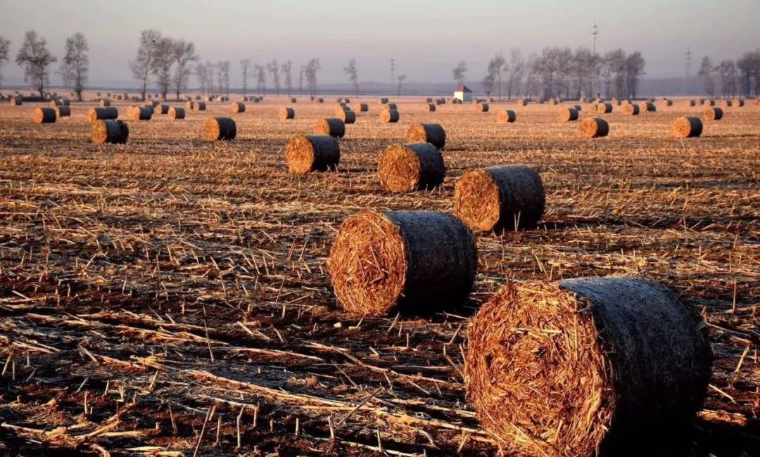 2030年，我国生物天然气需求将增至近100亿立方米/年