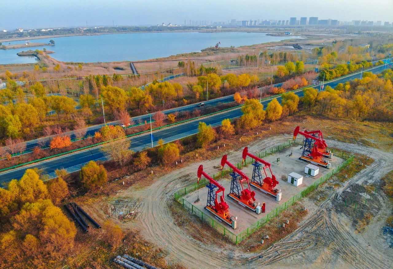 油气，筑牢国家能源安全之基